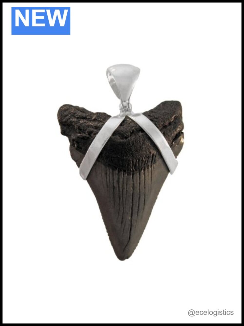 Sterling Silver Fossil Shark Tooth Pendant Hinged Bale Unisex